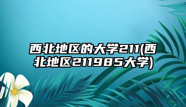 西北地區(qū)的大學(xué)211(西北地區(qū)211985大學(xué))