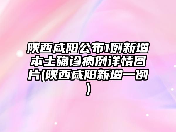 陜西咸陽公布1例新增本土確診病例詳情圖片(陜西咸陽新增一例)