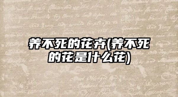 養(yǎng)不死的花卉(養(yǎng)不死的花是什么花)