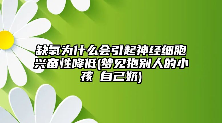 缺氧為什么會引起神經(jīng)細胞興奮性降低(夢見抱別人的小孩暍自己奶)