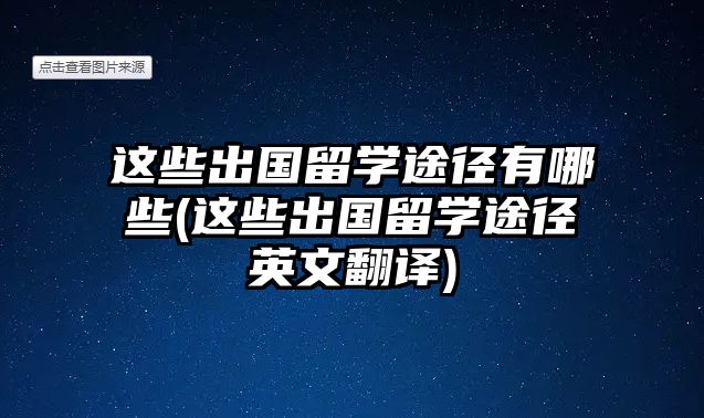 這些出國(guó)留學(xué)途徑有哪些(這些出國(guó)留學(xué)途徑英文翻譯)