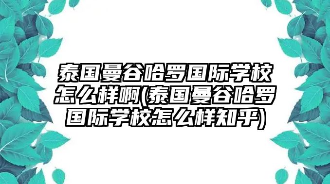 泰國曼谷哈羅國際學(xué)校怎么樣啊(泰國曼谷哈羅國際學(xué)校怎么樣知乎)