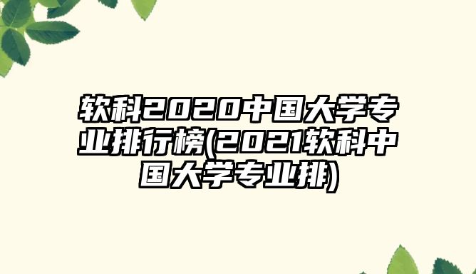 軟科2020中國(guó)大學(xué)專(zhuān)業(yè)排行榜(2021軟科中國(guó)大學(xué)專(zhuān)業(yè)排)