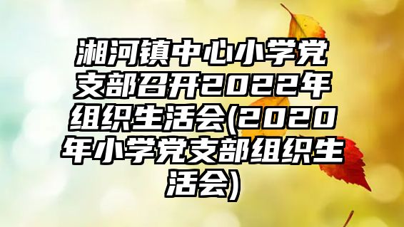 湘河鎮(zhèn)中心小學(xué)黨支部召開2022年組織生活會(huì)(2020年小學(xué)黨支部組織生活會(huì))