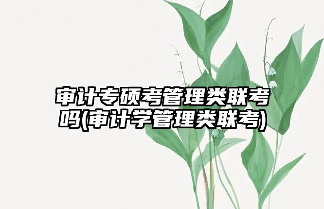 審計專碩考管理類聯(lián)考嗎(審計學(xué)管理類聯(lián)考)