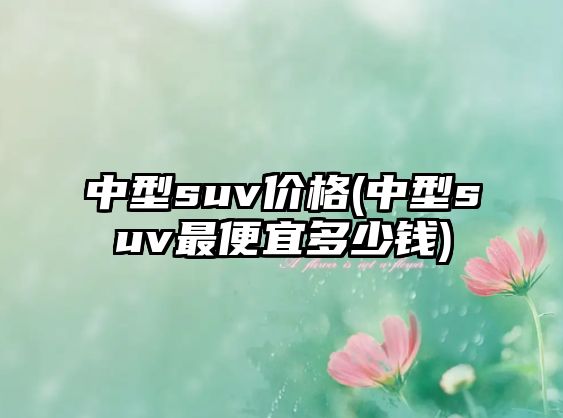 中型suv價(jià)格(中型suv最便宜多少錢)