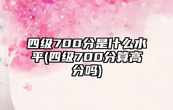 四級700分是什么水平(四級700分算高分嗎)