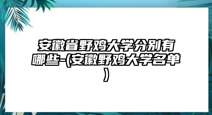 安徽省野雞大學(xué)分別有哪些-(安徽野雞大學(xué)名單)