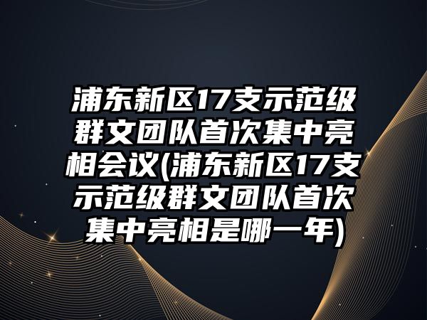 浦東新區(qū)17支示范級(jí)群文團(tuán)隊(duì)首次集中亮相會(huì)議(浦東新區(qū)17支示范級(jí)群文團(tuán)隊(duì)首次集中亮相是哪一年)