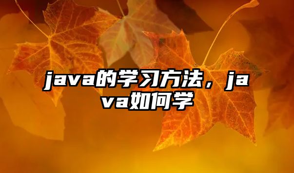 java的學習方法，java如何學