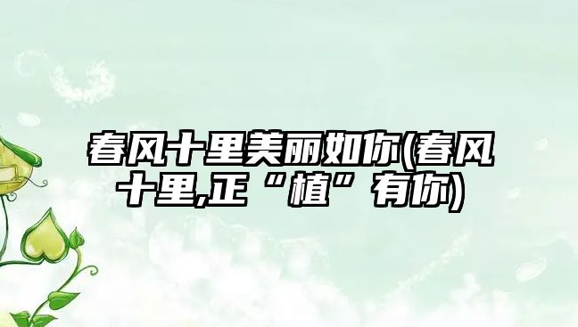 春風(fēng)十里美麗如你(春風(fēng)十里,正“植”有你)