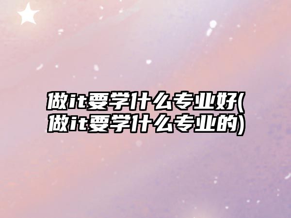 做it要學(xué)什么專業(yè)好(做it要學(xué)什么專業(yè)的)