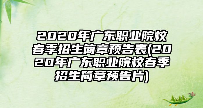 2020年廣東職業(yè)院校春季招生簡章預告表(2020年廣東職業(yè)院校春季招生簡章預告片)