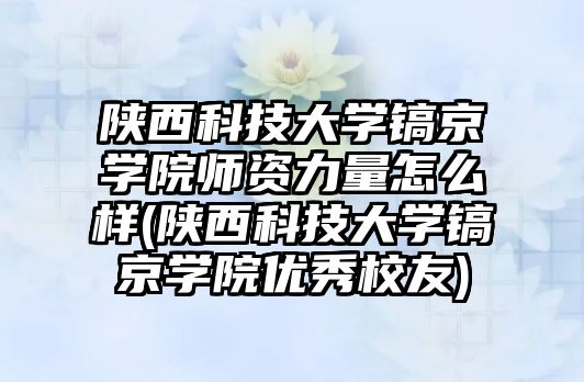 陜西科技大學鎬京學院師資力量怎么樣(陜西科技大學鎬京學院優(yōu)秀校友)