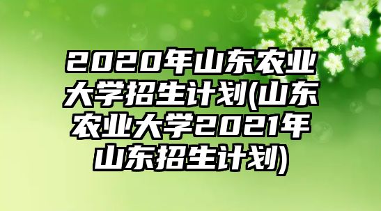 2020年山東農(nóng)業(yè)大學招生計劃(山東農(nóng)業(yè)大學2021年山東招生計劃)