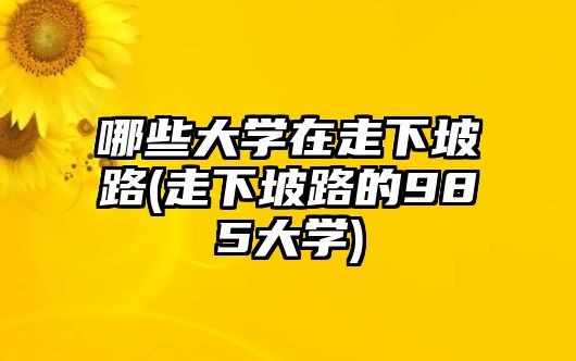 哪些大學在走下坡路(走下坡路的985大學)