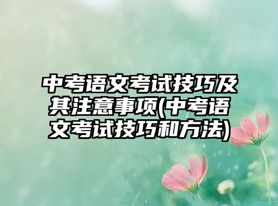 中考語文考試技巧及其注意事項(中考語文考試技巧和方法)