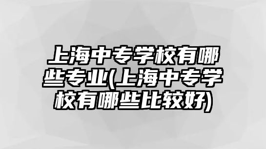 上海中專學(xué)校有哪些專業(yè)(上海中專學(xué)校有哪些比較好)