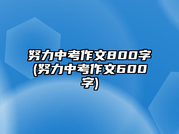 努力中考作文800字(努力中考作文600字)