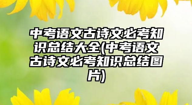 中考語文古詩文必考知識總結大全(中考語文古詩文必考知識總結圖片)