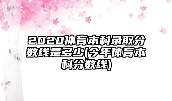 2020體育本科錄取分數(shù)線是多少(今年體育本科分數(shù)線)