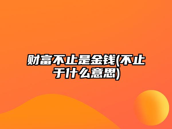 財(cái)富不止是金錢(不止于什么意思)