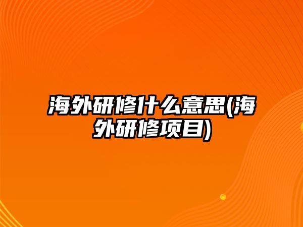 海外研修什么意思(海外研修項目)