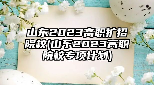 山東2023高職擴(kuò)招院校(山東2023高職院校專項(xiàng)計(jì)劃)