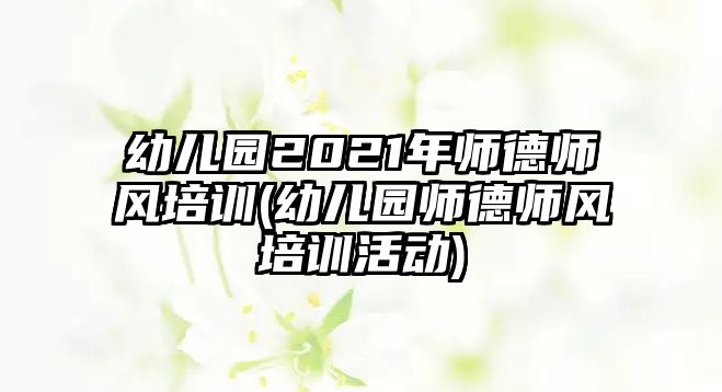 幼兒園2021年師德師風(fēng)培訓(xùn)(幼兒園師德師風(fēng)培訓(xùn)活動)