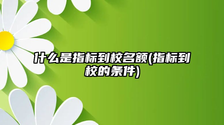 什么是指標(biāo)到校名額(指標(biāo)到校的條件)