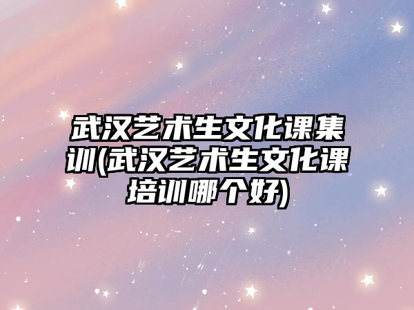 武漢藝術(shù)生文化課集訓(xùn)(武漢藝術(shù)生文化課培訓(xùn)哪個好)