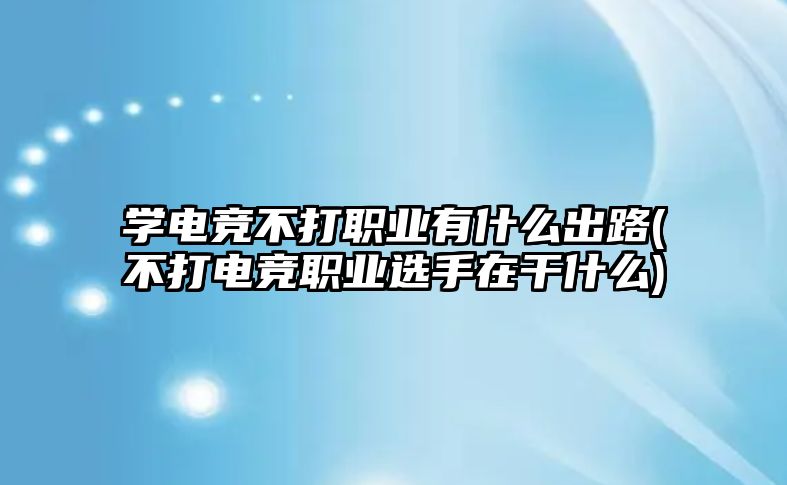 學(xué)電競不打職業(yè)有什么出路(不打電競職業(yè)選手在干什么)