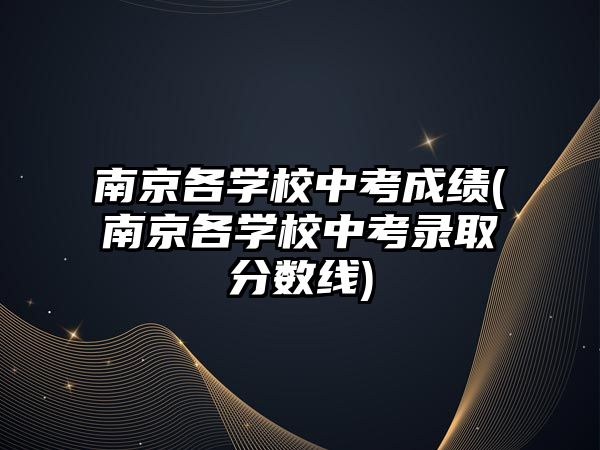 南京各學校中考成績(南京各學校中考錄取分數(shù)線)