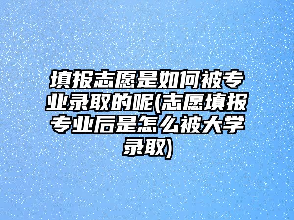 填報志愿是如何被專業(yè)錄取的呢(志愿填報專業(yè)后是怎么被大學(xué)錄取)