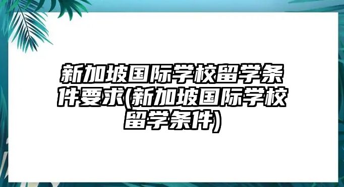 新加坡國際學校留學條件要求(新加坡國際學校留學條件)