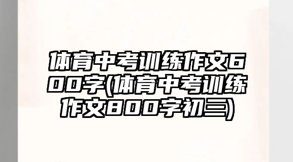 體育中考訓(xùn)練作文600字(體育中考訓(xùn)練作文800字初三)