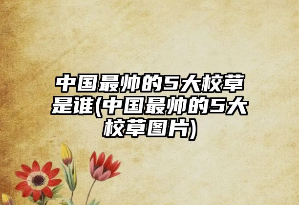 中國最帥的5大校草是誰(中國最帥的5大校草圖片)