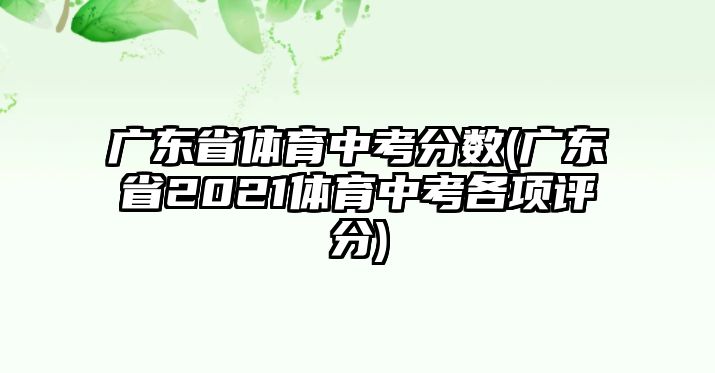 廣東省體育中考分?jǐn)?shù)(廣東省2021體育中考各項(xiàng)評(píng)分)