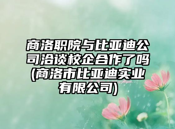 商洛職院與比亞迪公司洽談校企合作了嗎(商洛市比亞迪實業(yè)有限公司)