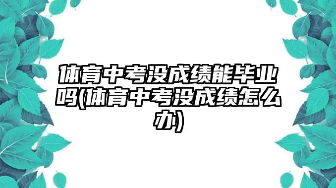 體育中考沒成績能畢業(yè)嗎(體育中考沒成績怎么辦)