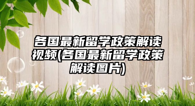 各國(guó)最新留學(xué)政策解讀視頻(各國(guó)最新留學(xué)政策解讀圖片)