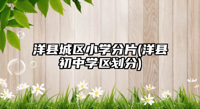 洋縣城區(qū)小學(xué)分片(洋縣初中學(xué)區(qū)劃分)