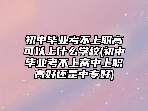 初中畢業(yè)考不上職高可以上什么學(xué)校(初中畢業(yè)考不上高中上職高好還是中專好)