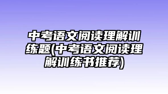 中考語文閱讀理解訓(xùn)練題(中考語文閱讀理解訓(xùn)練書推薦)