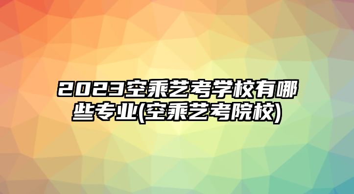 2023空乘藝考學校有哪些專業(yè)(空乘藝考院校)