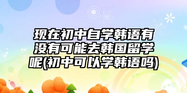 現(xiàn)在初中自學(xué)韓語有沒有可能去韓國留學(xué)呢(初中可以學(xué)韓語嗎)