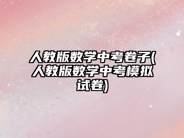 人教版數(shù)學(xué)中考卷子(人教版數(shù)學(xué)中考模擬試卷)