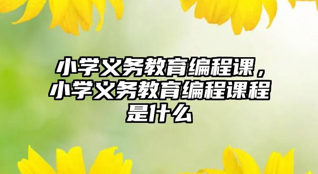 小學(xué)義務(wù)教育編程課，小學(xué)義務(wù)教育編程課程是什么