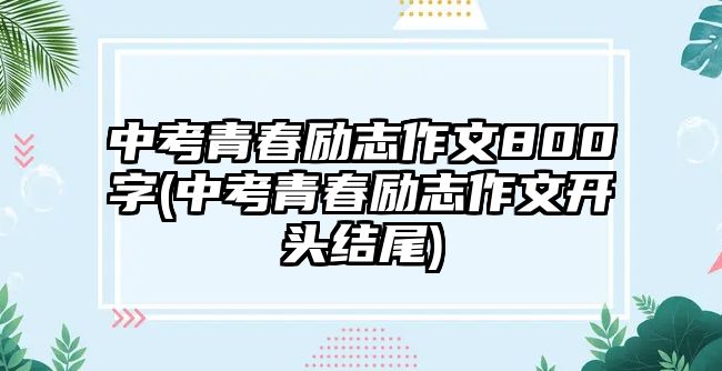 中考青春勵(lì)志作文800字(中考青春勵(lì)志作文開頭結(jié)尾)