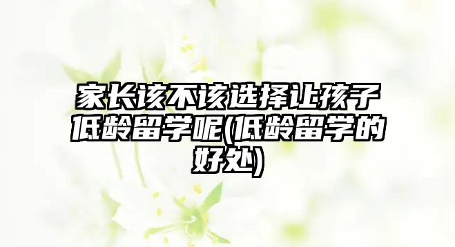 家長該不該選擇讓孩子低齡留學(xué)呢(低齡留學(xué)的好處)